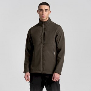 Férfi Craghoppers Könnyű Altis Softshell Kabát Barna | DJXGUZ768