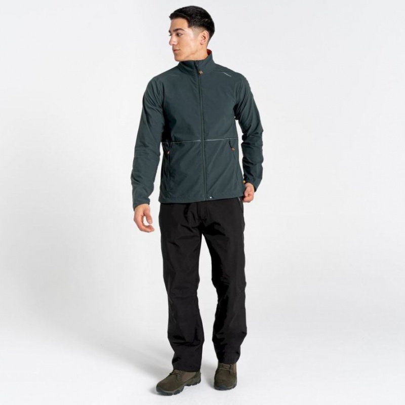 Férfi Craghoppers NosiLife Active Softshell Kabát Zöld | FRBLGO721