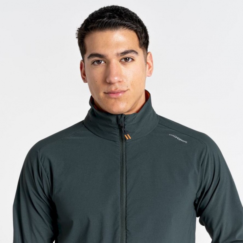 Férfi Craghoppers NosiLife Active Softshell Kabát Zöld | FRBLGO721